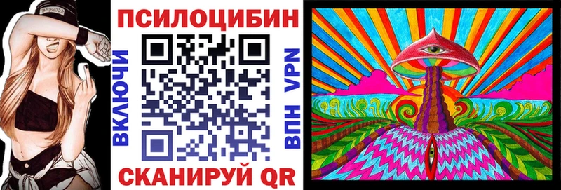 Псилоцибиновые грибы MAGIC MUSHROOMS  Новоалтайск 